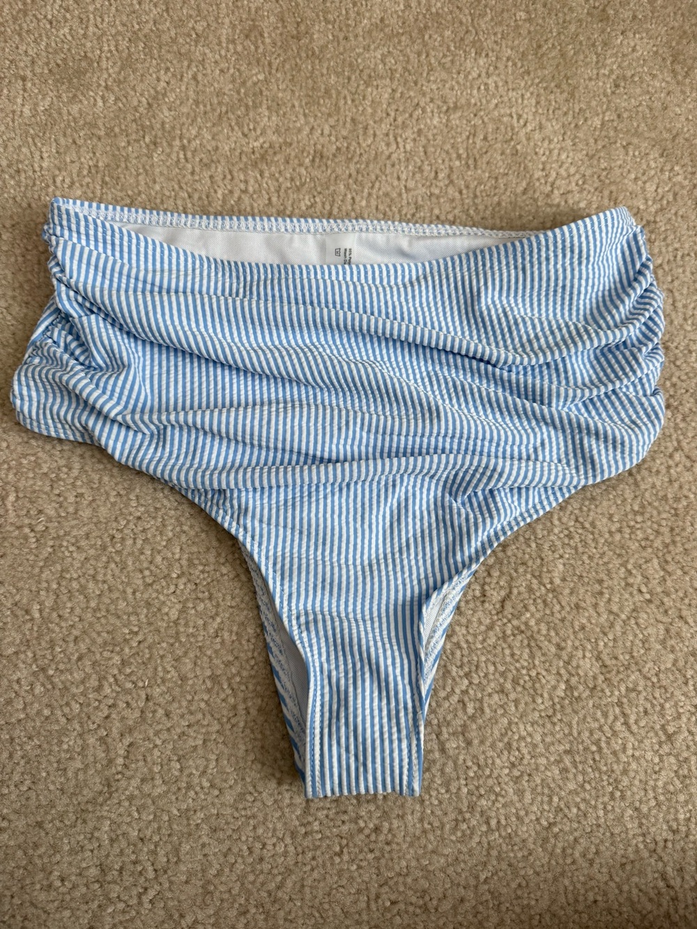 Womens Blue White Striped Bikini Bottoms (L)